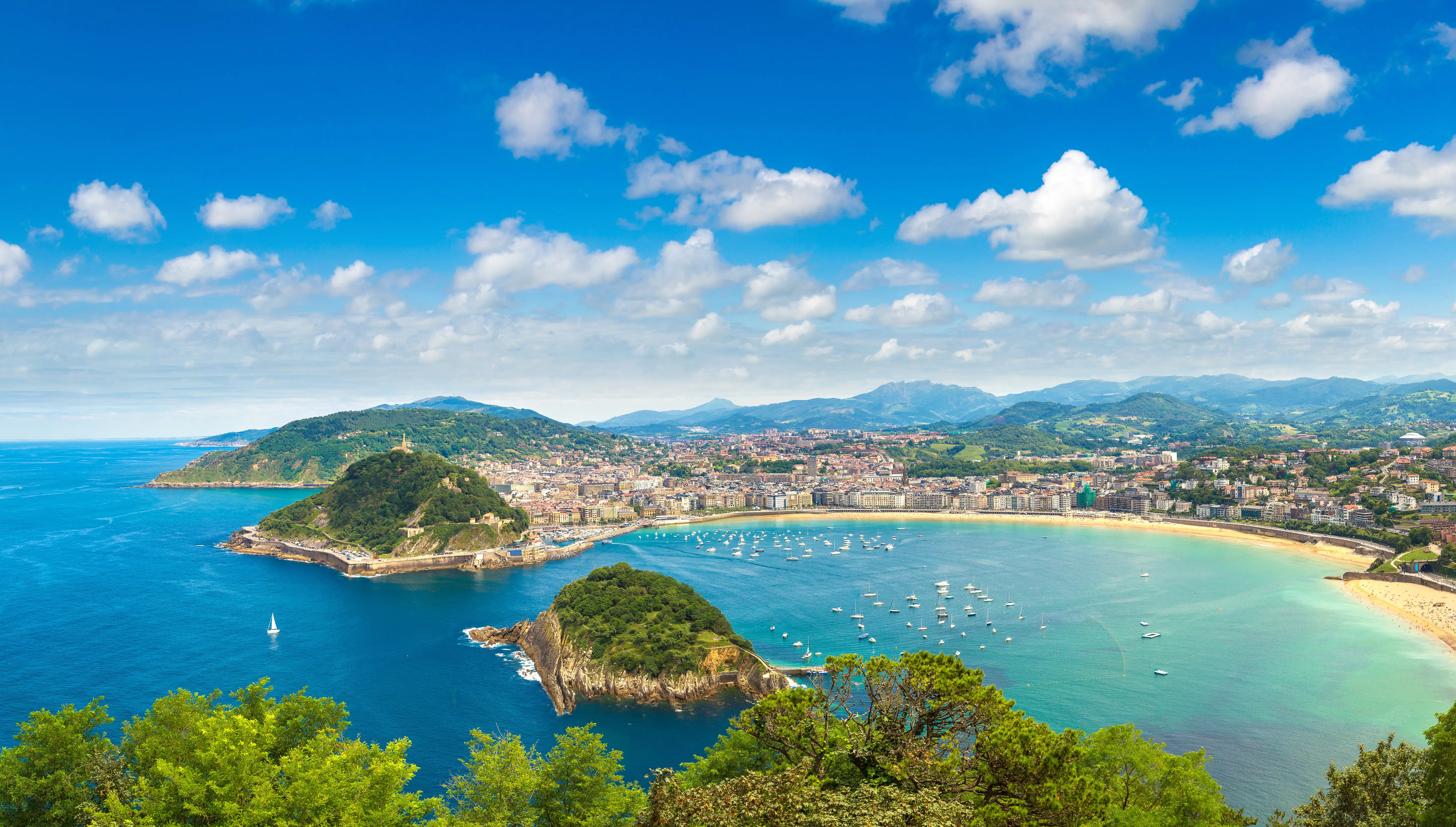 A city set on a curved natural harbour and bay