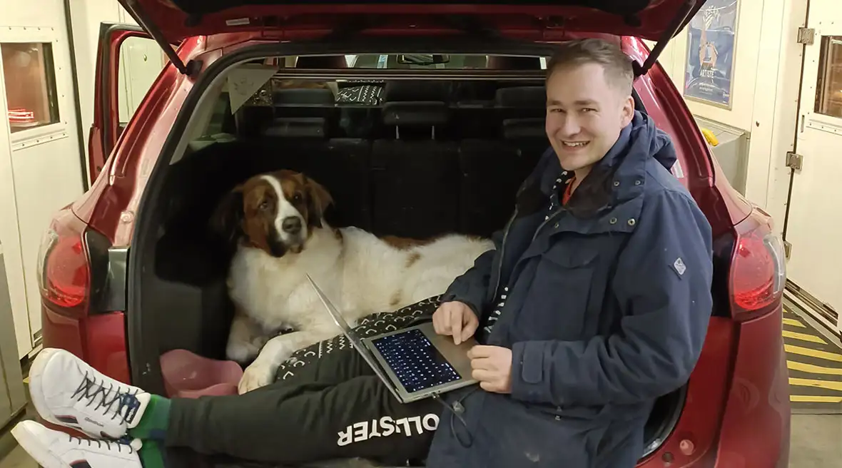 Dog in the back of a car