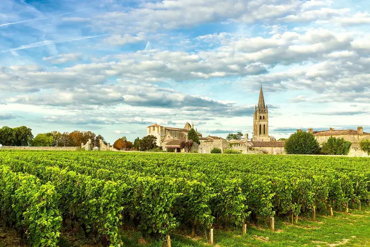 Lush vineyards in Bordeaux with rows of vines under a bright blue sky, featuring a charming church and buildings in the background near Saint-Émilion