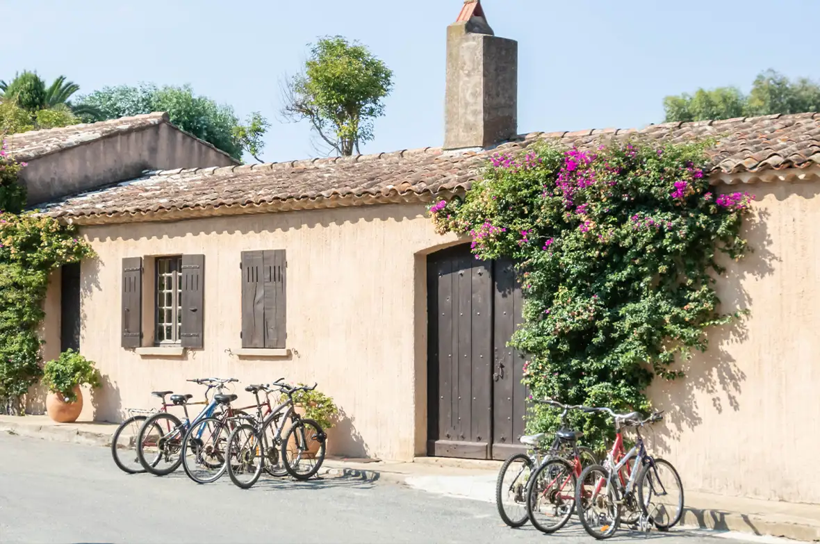 small brick building covered in a huge purple flowered bush with bicycles parked outside in the sun