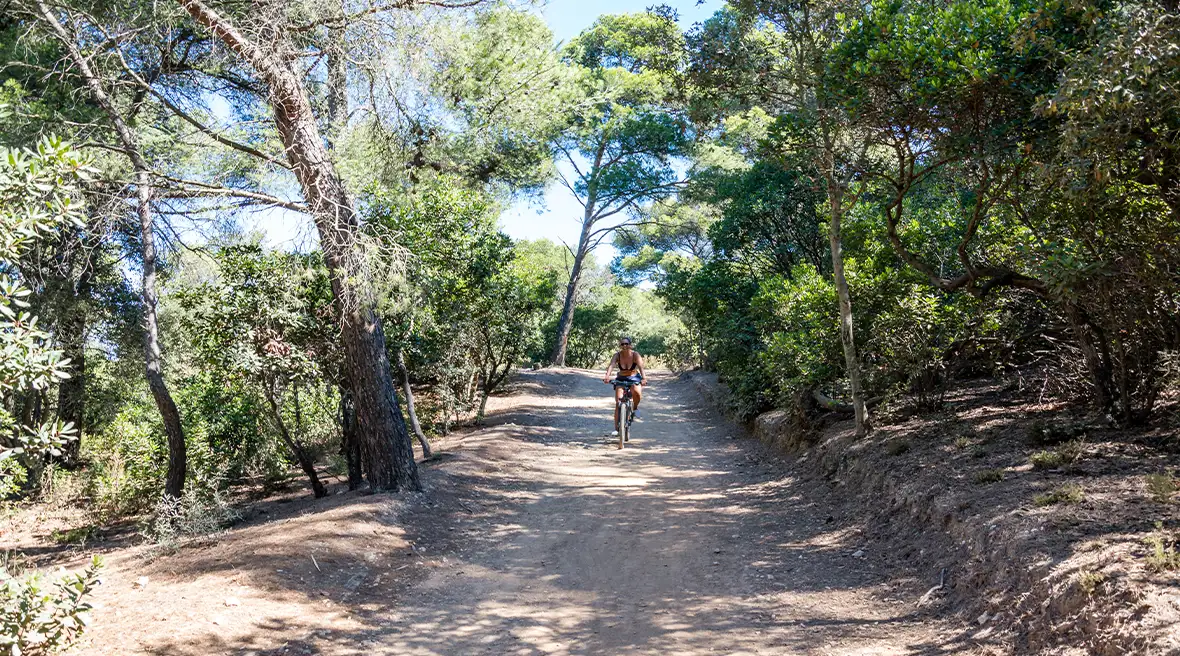 person on a bicycle on a sandy woodland path under the shade of trees