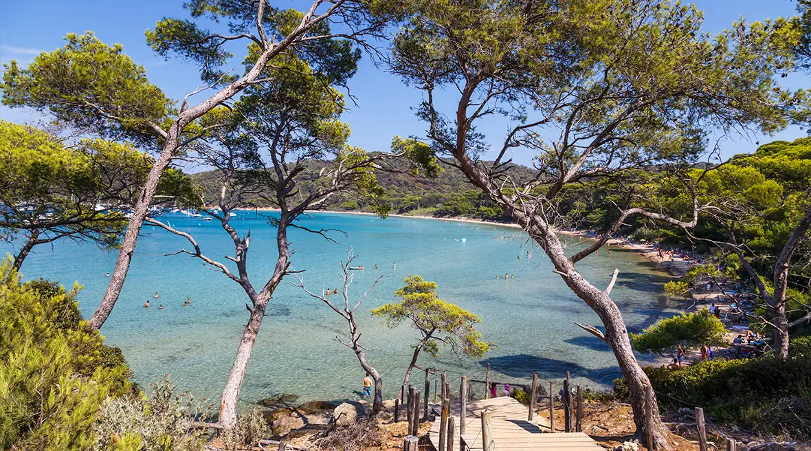 A tree lined wooden boardwalk leading to crystal blue waters and a sandy beach