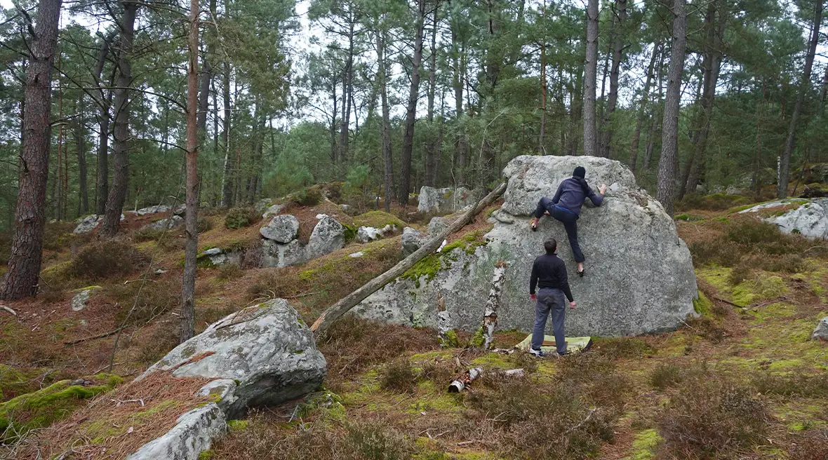 two people bouldering in a forest setting
