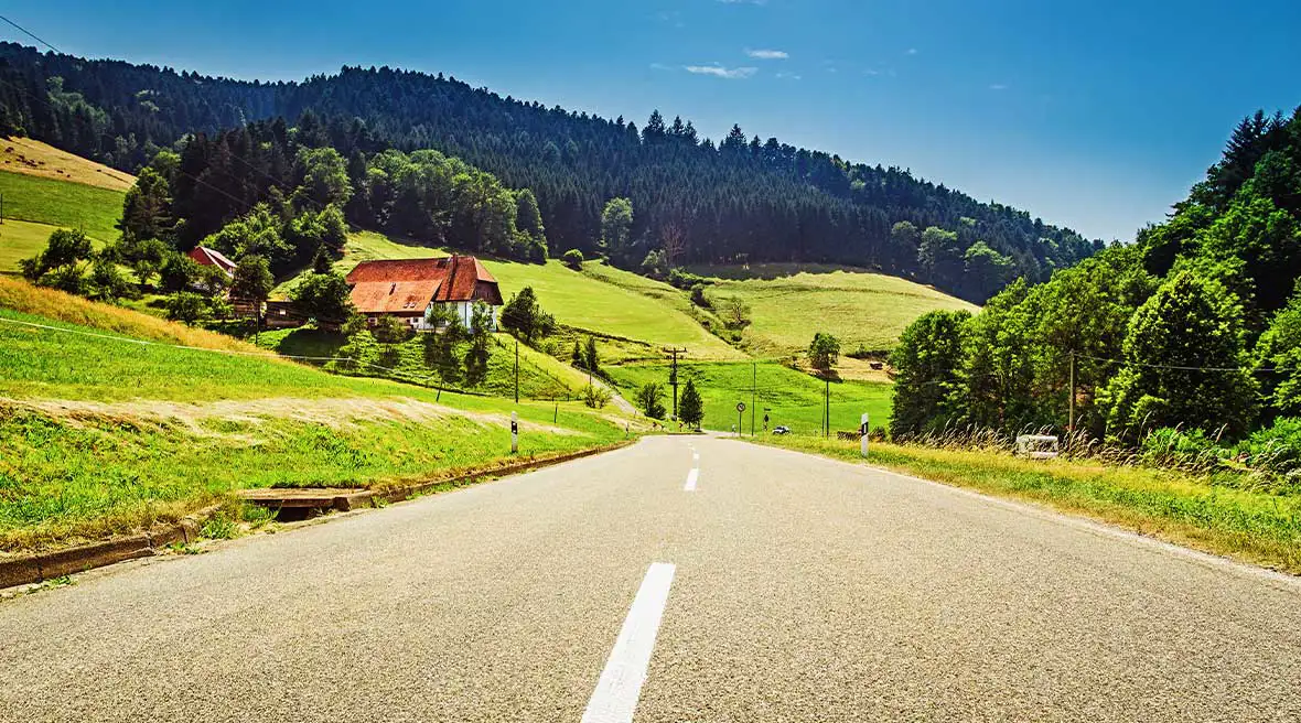 A stretch of road going downhill, with hills and a thick forest in the distance on a summer’s day