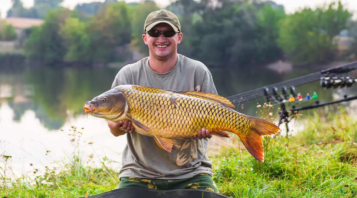 Man in a grey long sleeved t-shirt and baseball cap holding a large carp fish on a green grass bank with a lake in the background and trees surrounding it