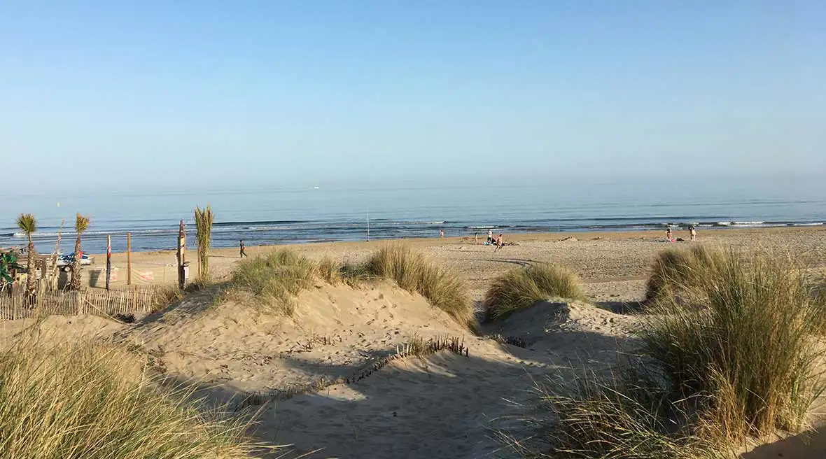 Explore the local beach with your kids and four-legged friends