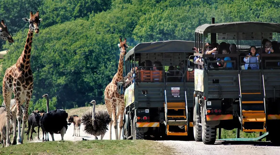 Je voelt je net Freek Vonk als je hier op safari gaat!