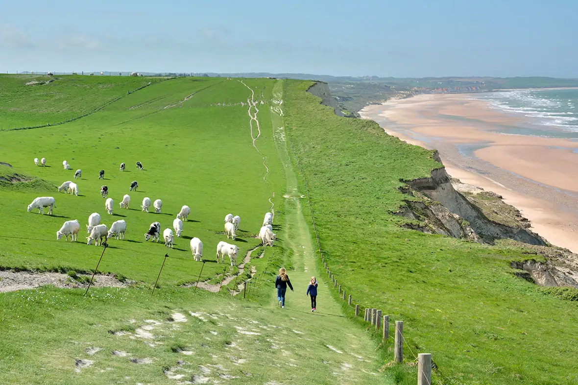 Two women walking on green hills with sheep and sandy beaches around them