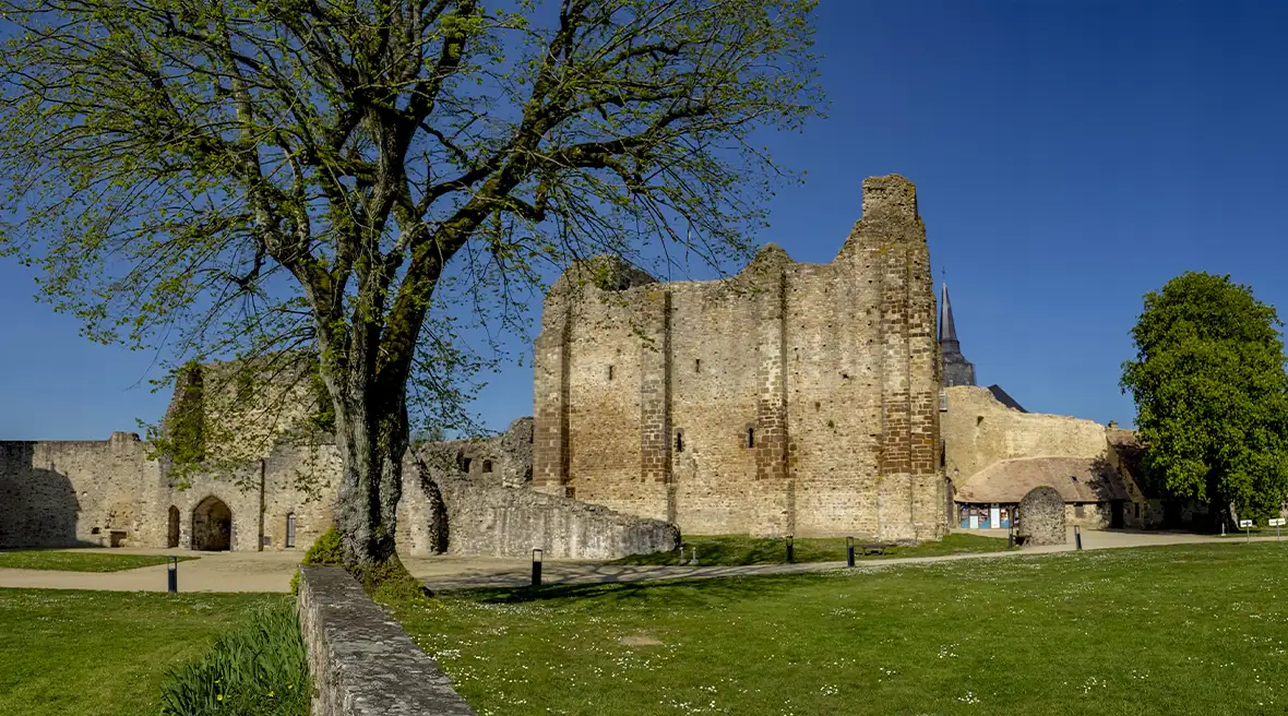 Imposing stone fortress walls surrounded by trees and green grass