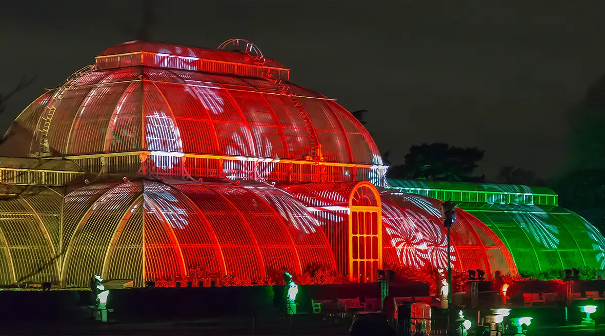 Les jardins botaniques de Kew brillent de mille feux en décembre